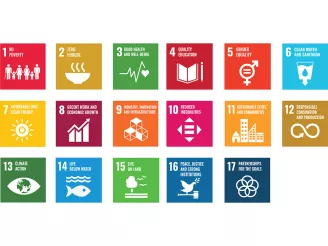 SDGs UN Global Compact